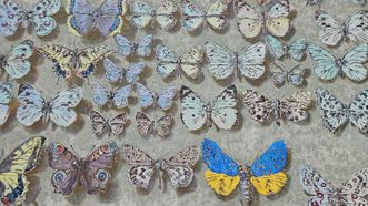 Mural Butterfly Wall