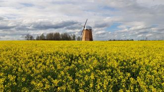 Steigvilių vėjo malūnas