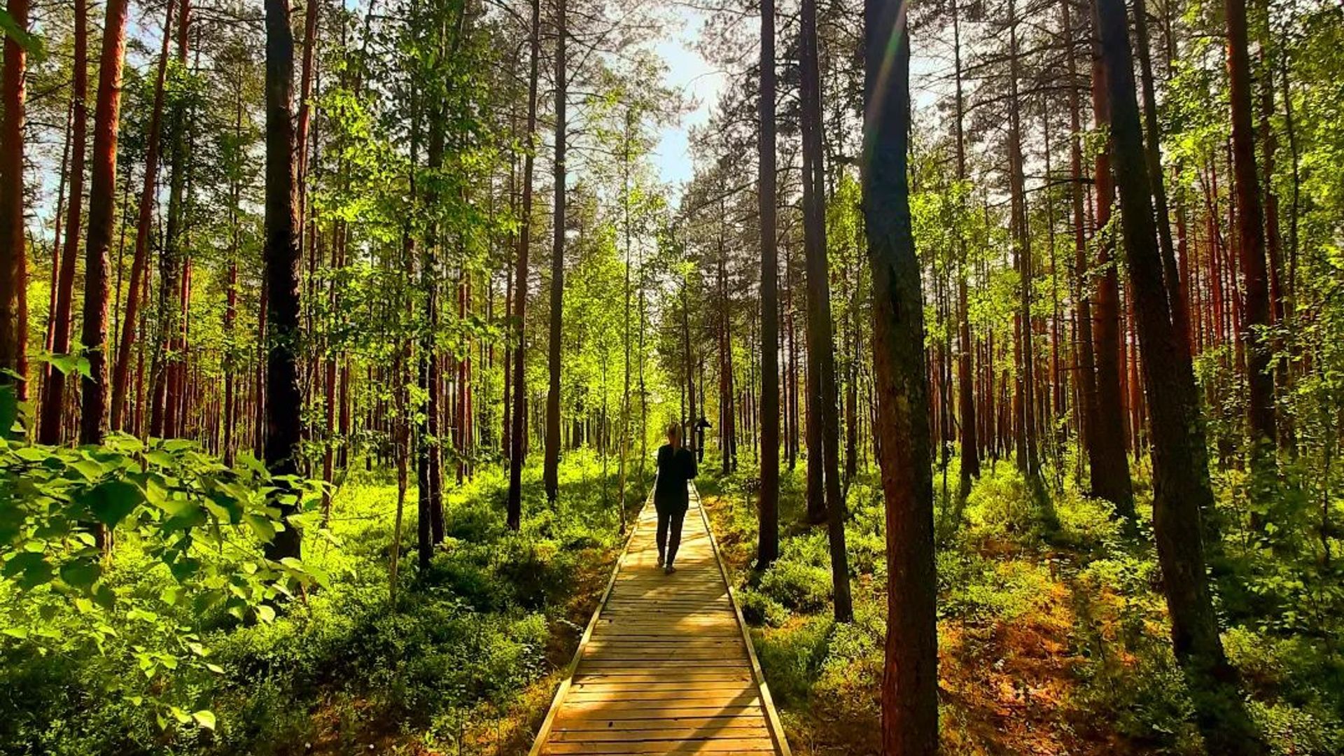 Kukuižė Lake Trail