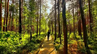 Kukuižė Lake Trail