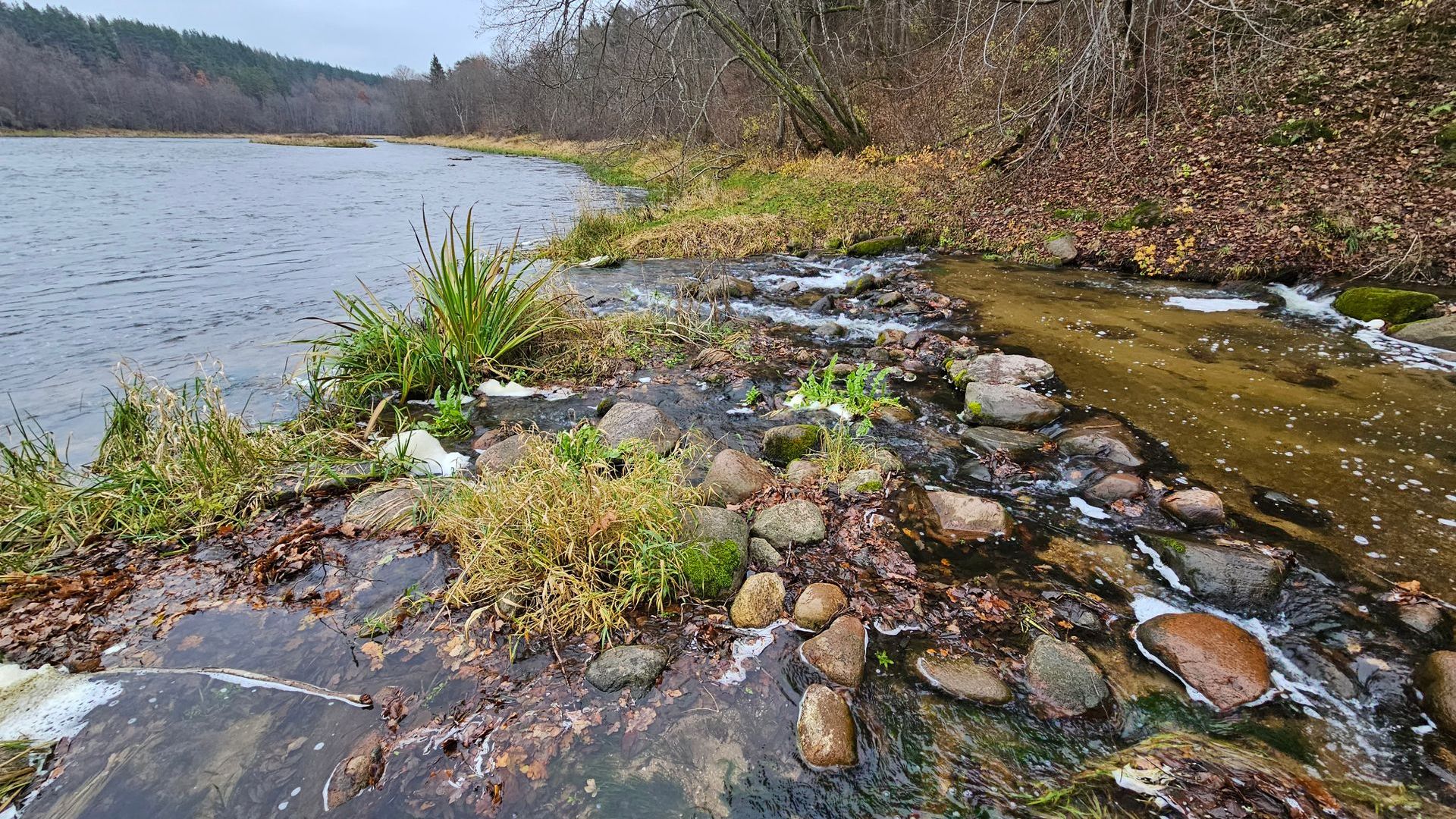 Confluence of the Rivers Neris and Saidė