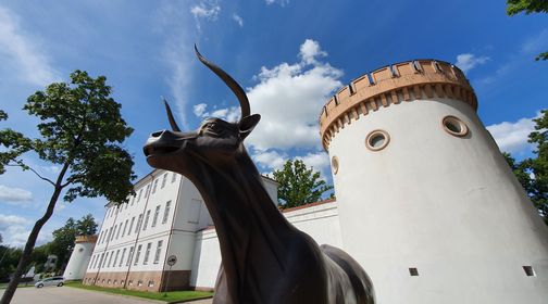 Sculpture Taurus