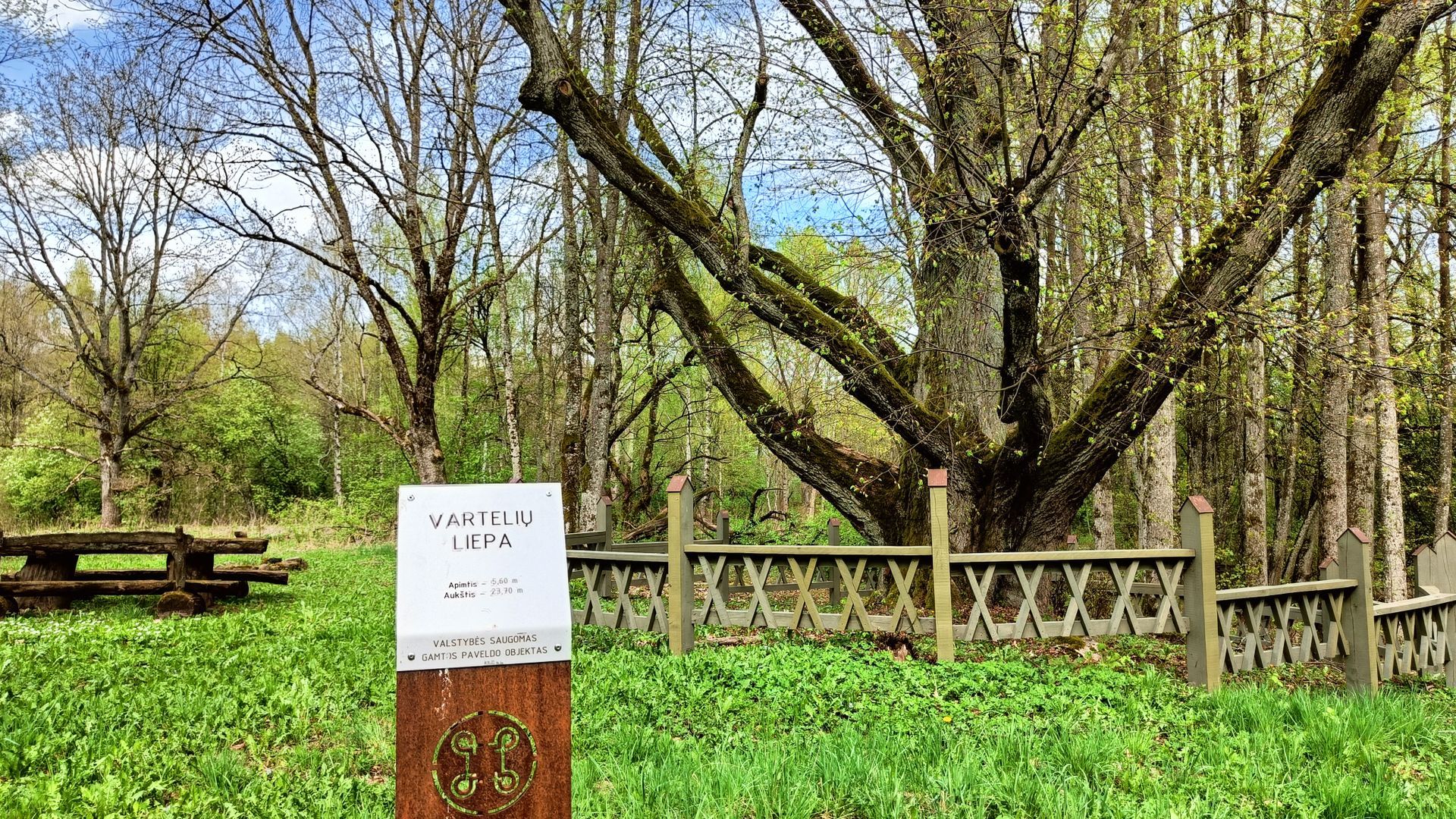Vartelių liepa