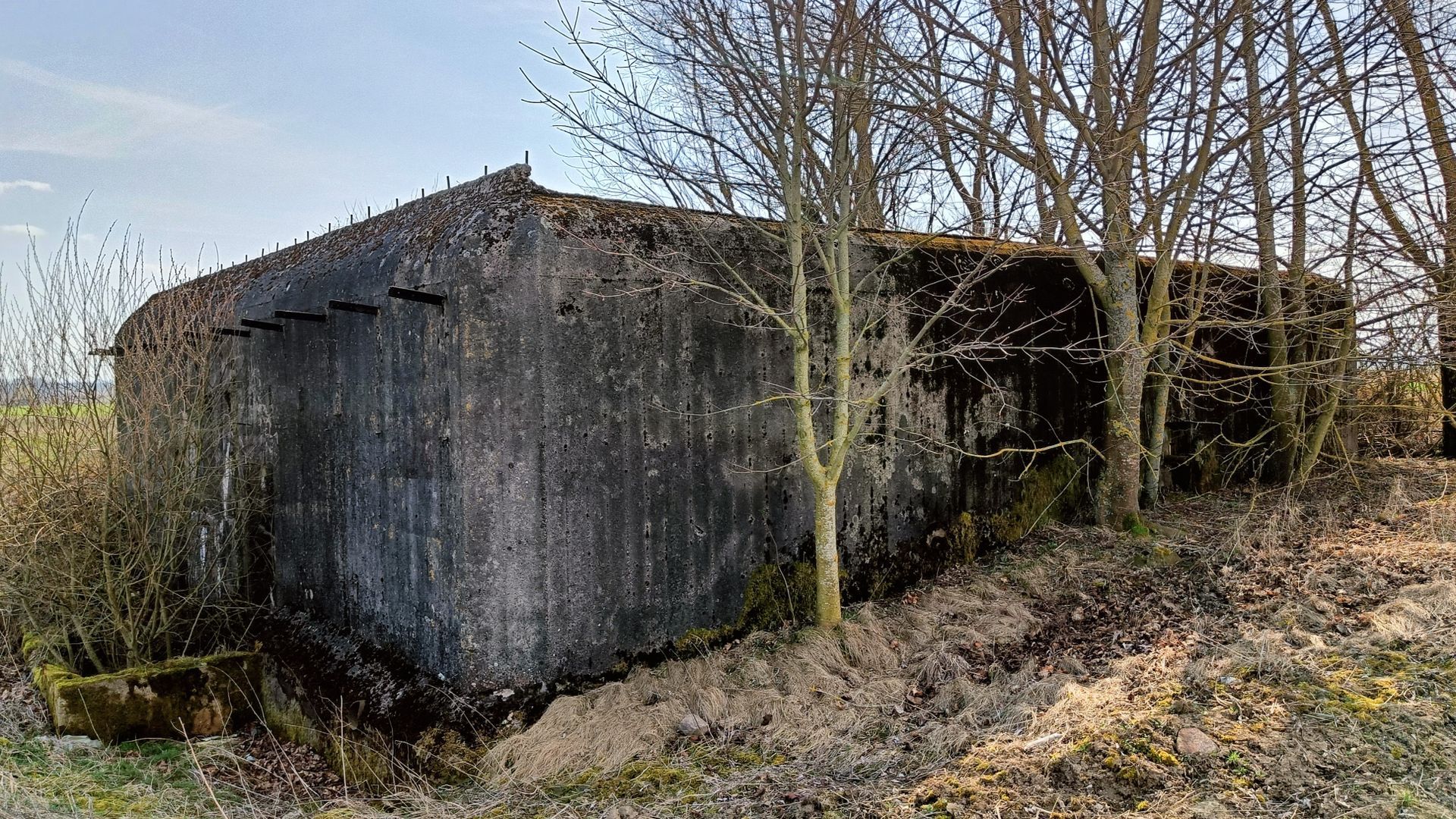Molotovo linijos bunkeris (Raudeniškiai)