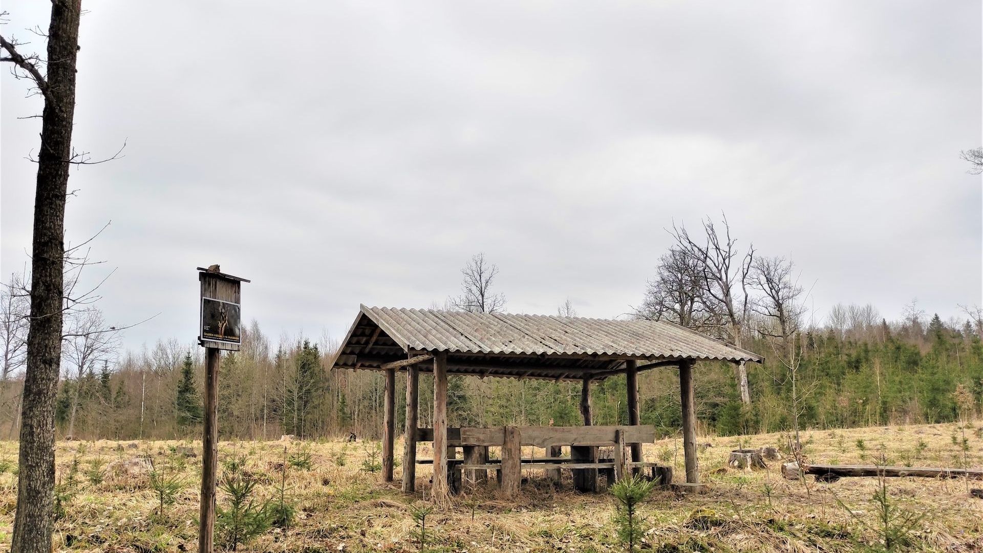 Poilsiavietė Po ąžuolu