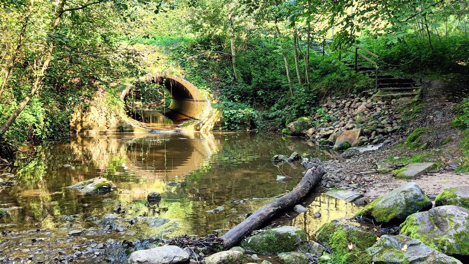 Nečiuikai Spring