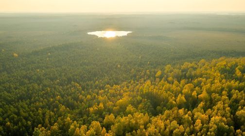 Kamanų rezervato mokomasis takas