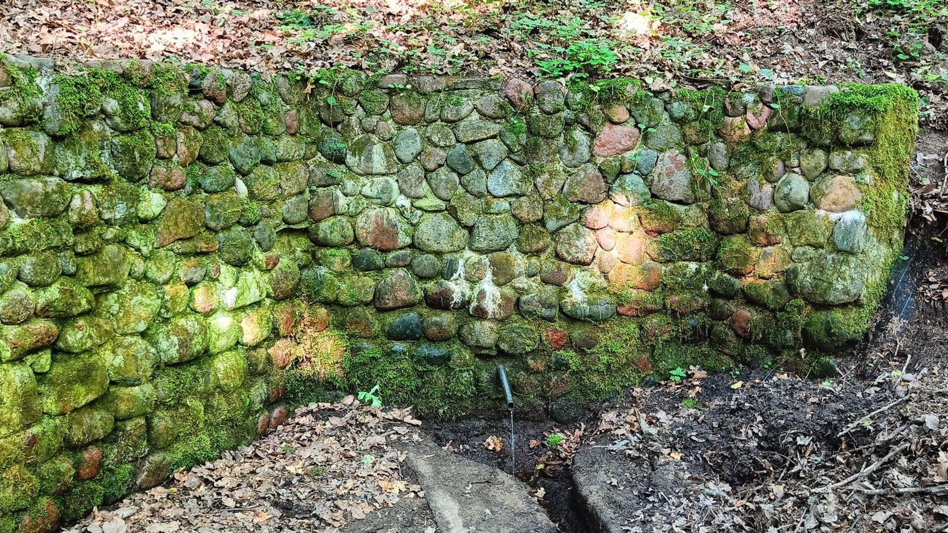 Gelgaudiškis Spring