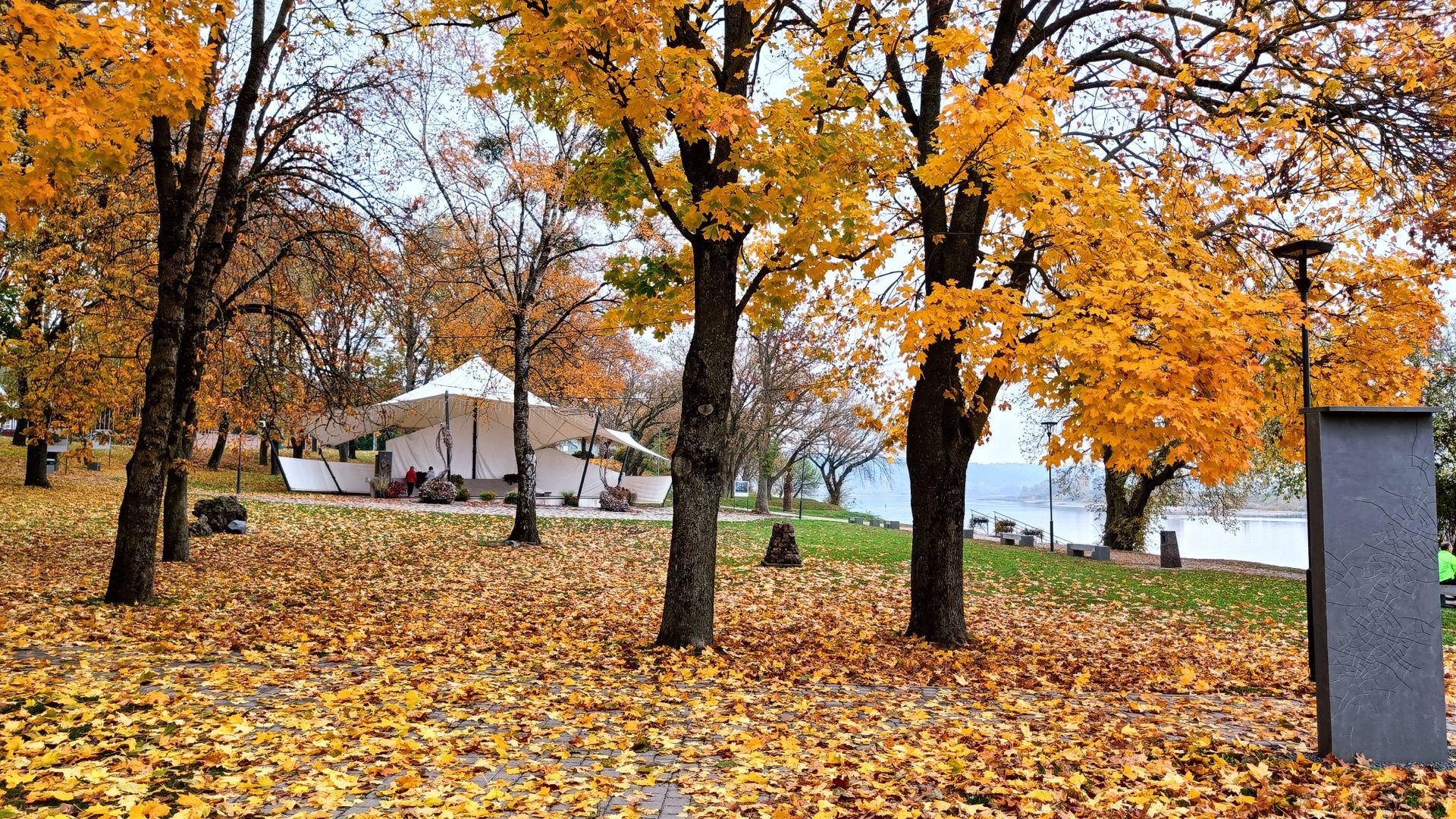 Vilkijos parkas ir Louiso Armstrongo estrada