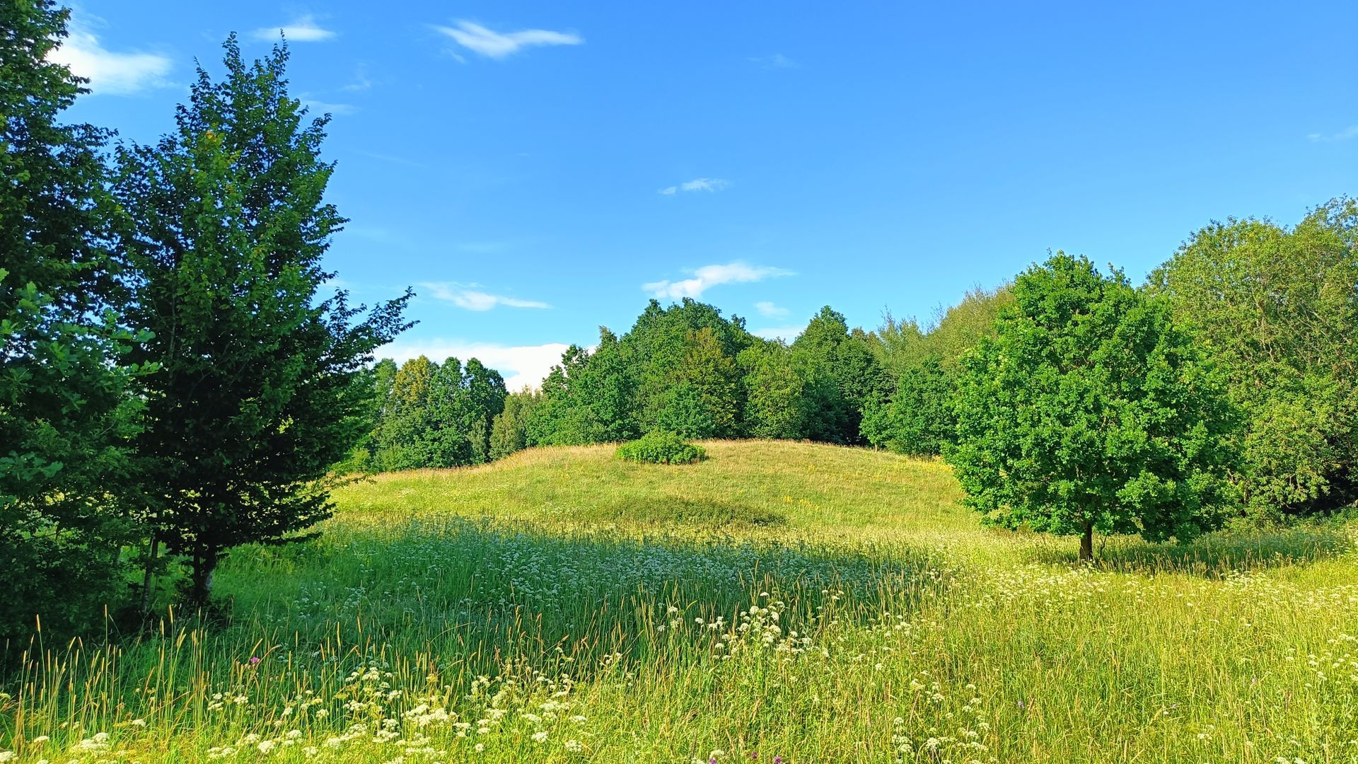 Vištytis Mound