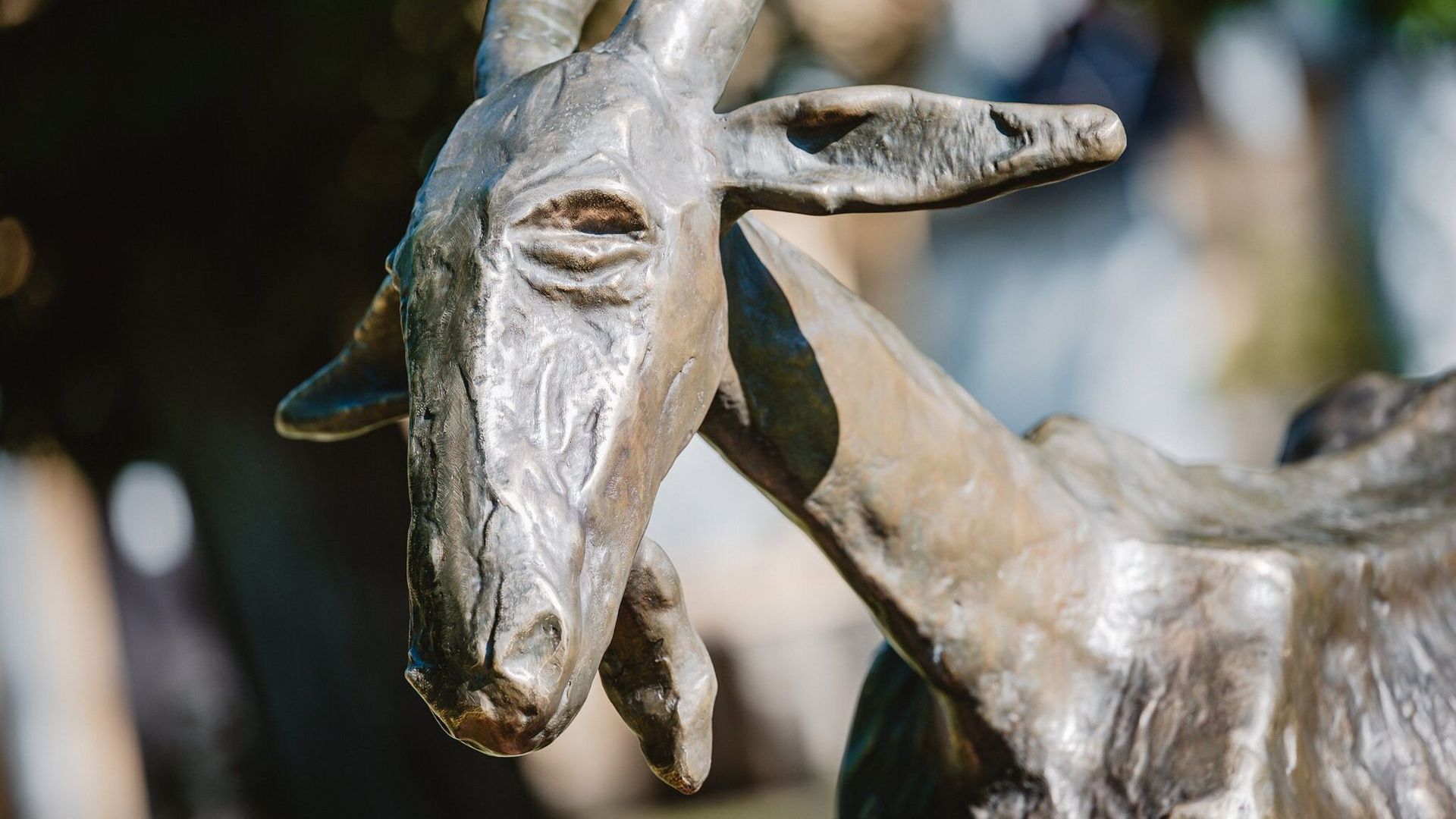 Sculpture Goat in a Bowl