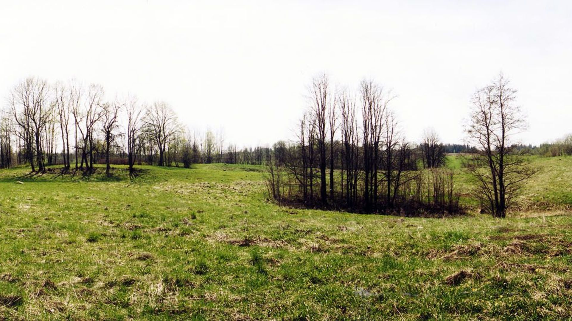 Bražuolė Mound