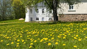 Antanašė Manor