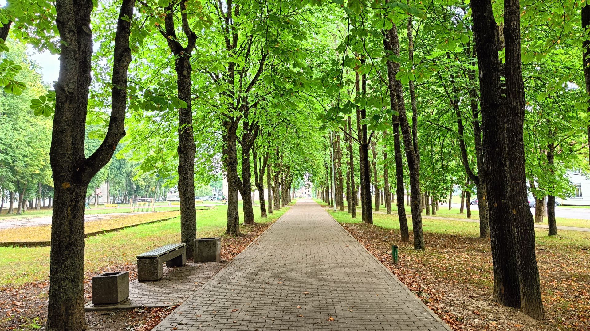 Elektrėnai Umbrella Alley