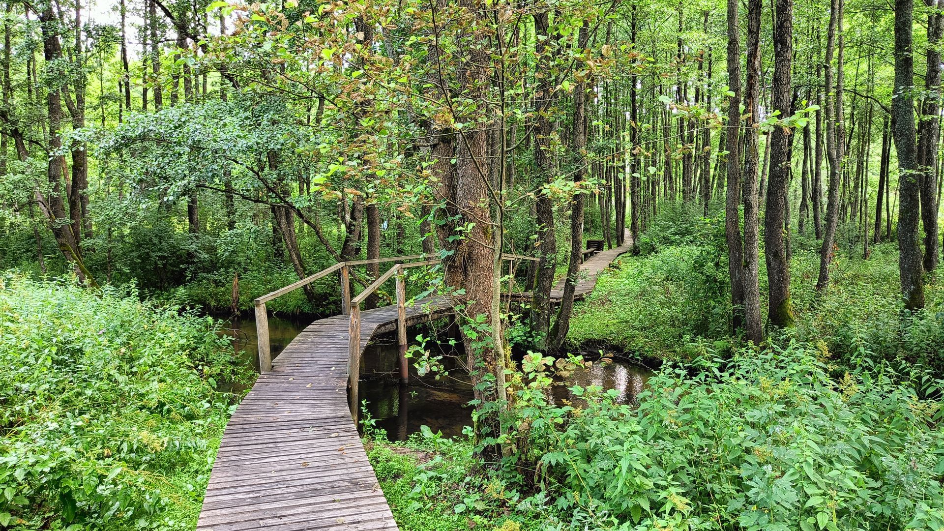 Gauja River Cognitive Trail