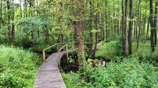 Gauja River Cognitive Trail