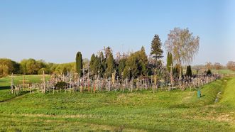 Hill of Crosses