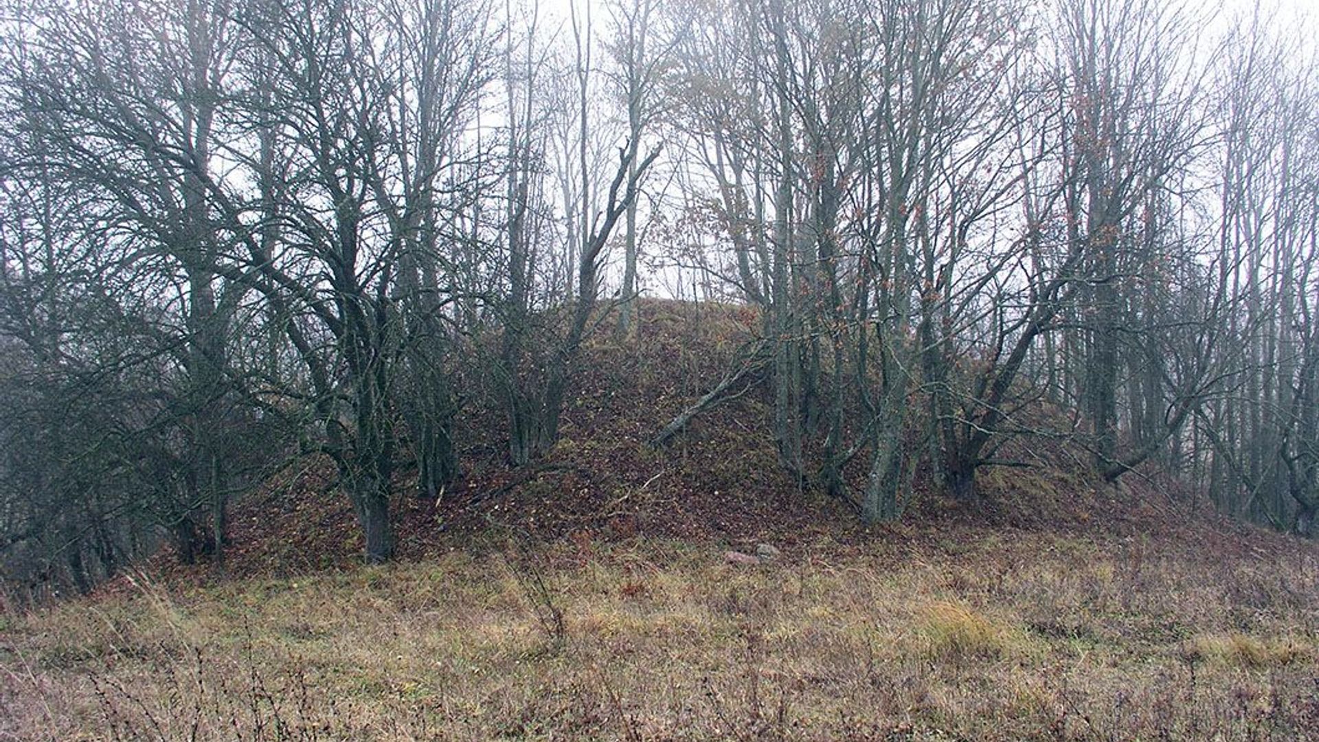 Buivydonys Mound