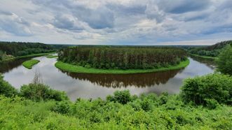 Punžionių atodangos regykla