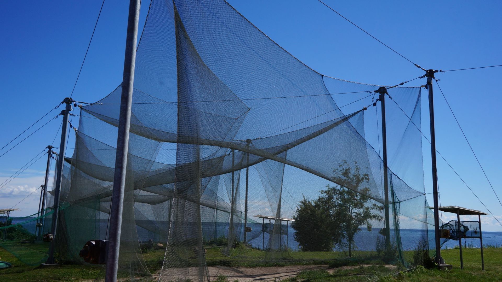 Ventė Cape Ornithological Station