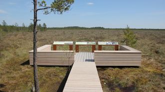 Čepkeliai Swamp Observation Deck