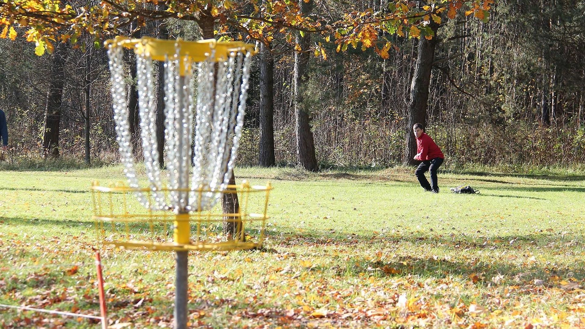 Disko golfas ir Futbolgolfas (Survilų sodyba)