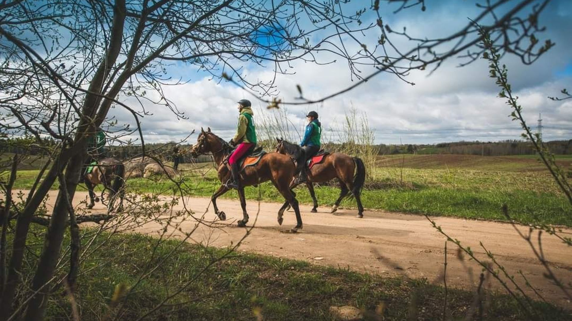 Rietavas Stud Farm