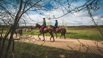 Rietavas Stud Farm