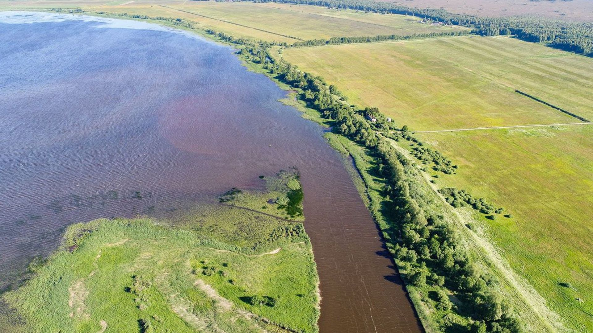 Krokų Lankos ežeras