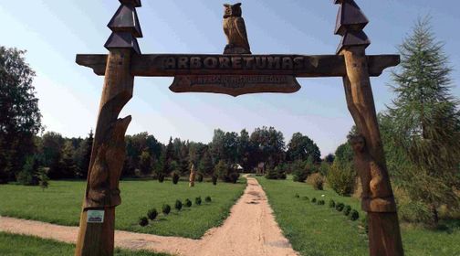 Troškūnų girininkijos arboretumas