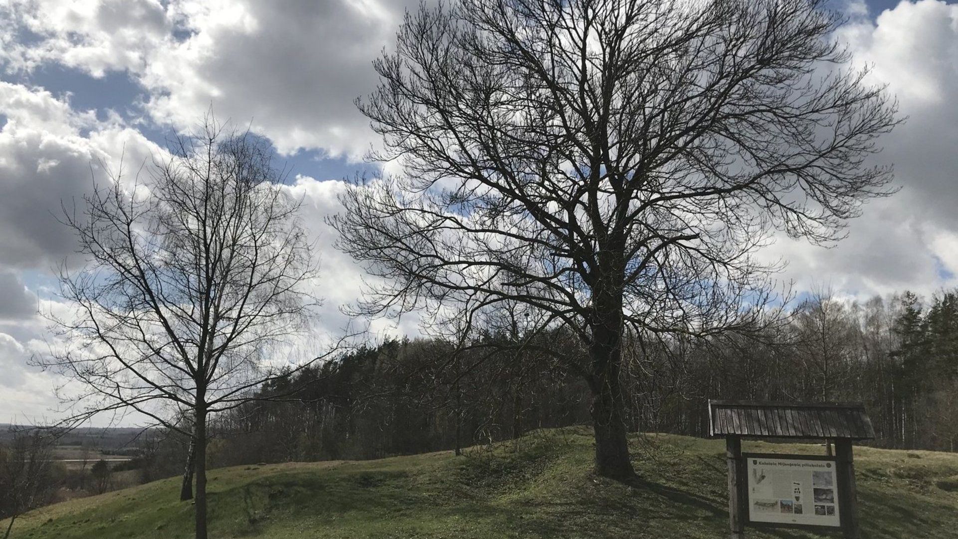 Kalniniai Mijaugonys Mound