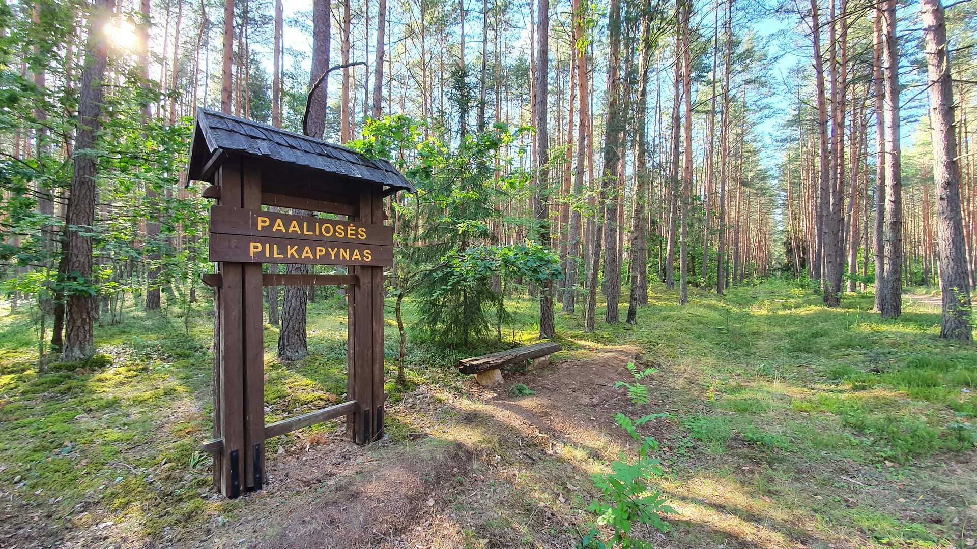 Paaliosė Burial Ground