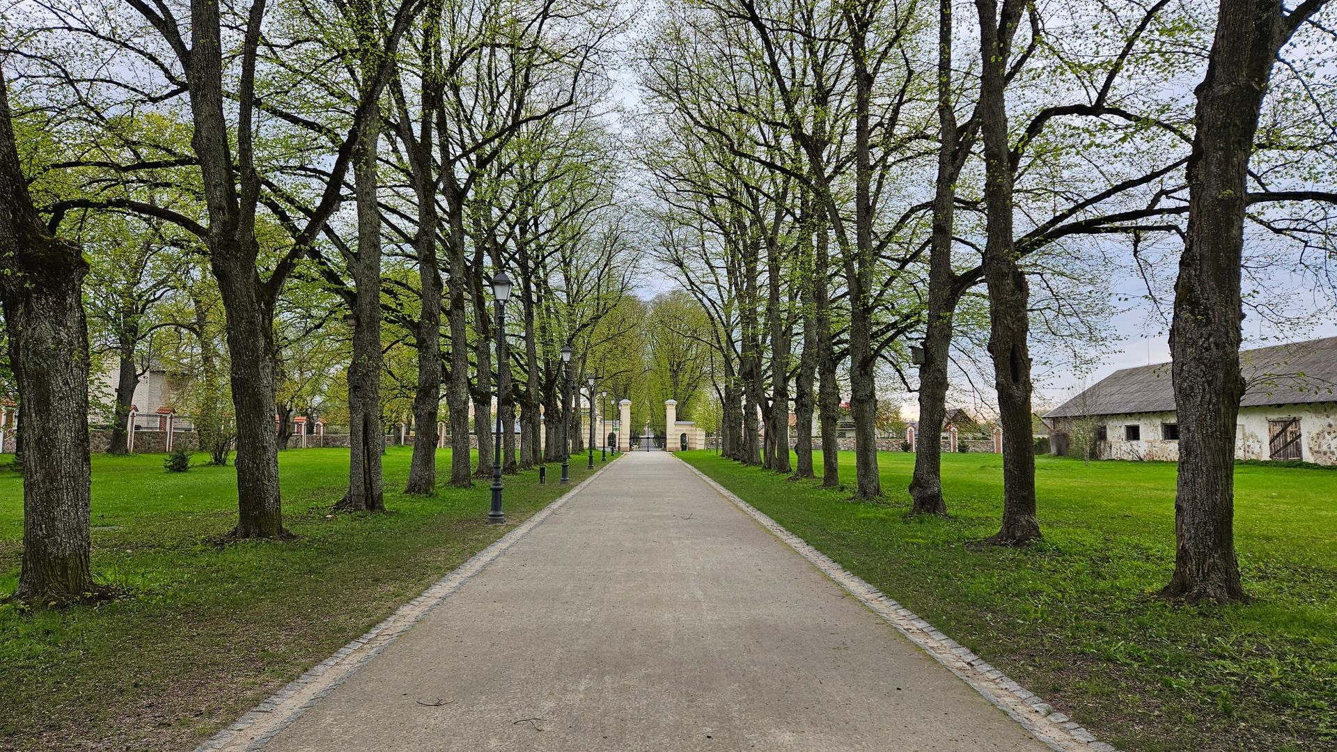 Trakų Vokė Manor's Linden Alley