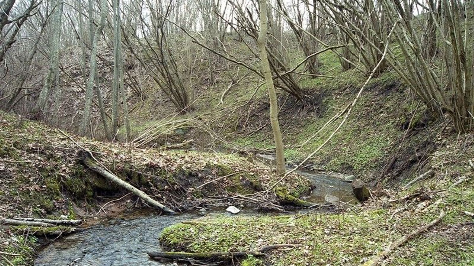 Ambraziūnai Mound