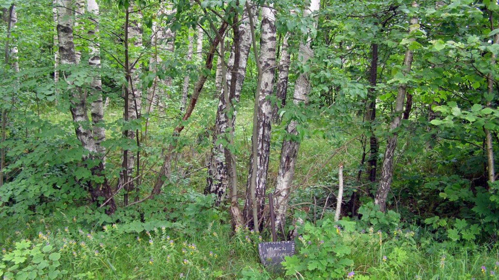 Vėlaičiai Mound