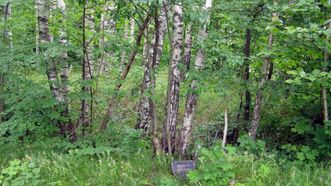 Vėlaičiai Mound