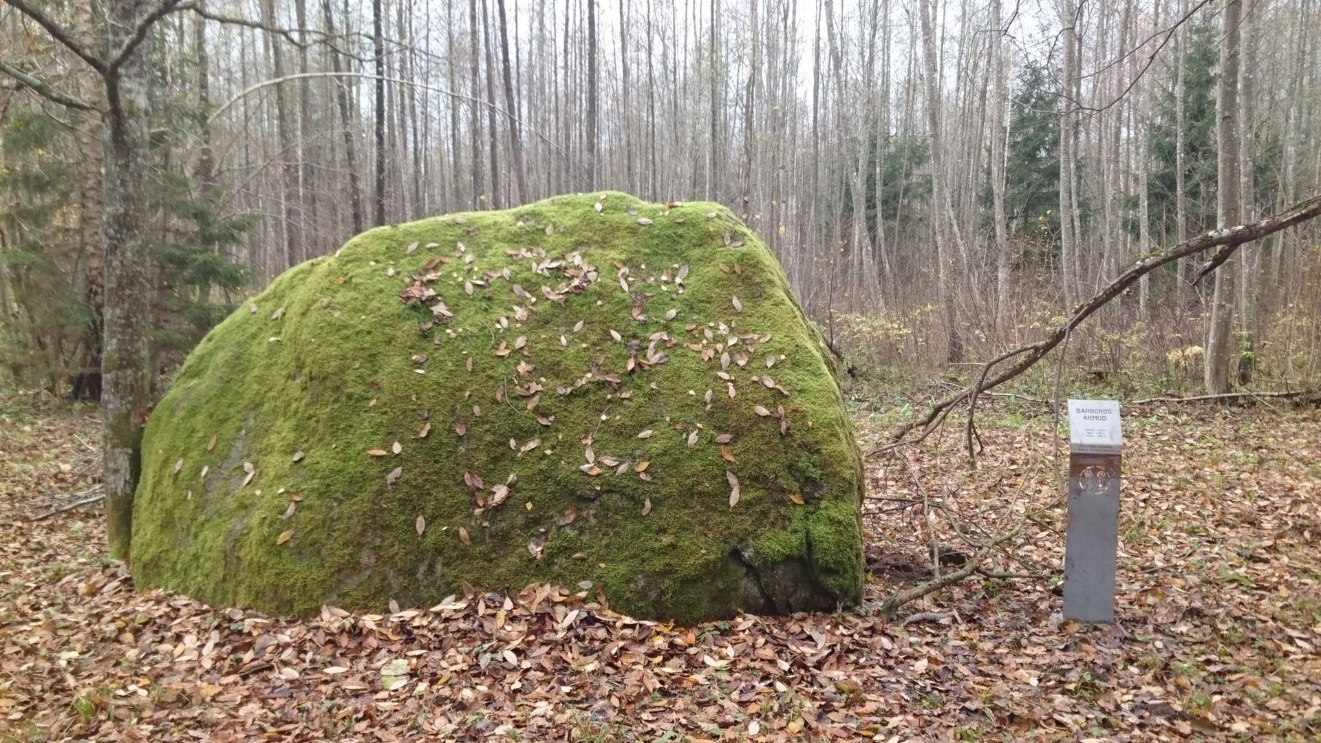 Barbora's Boulder