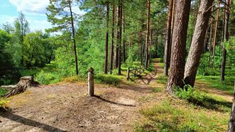 Forest Trail A Word to a Friend of the Woods