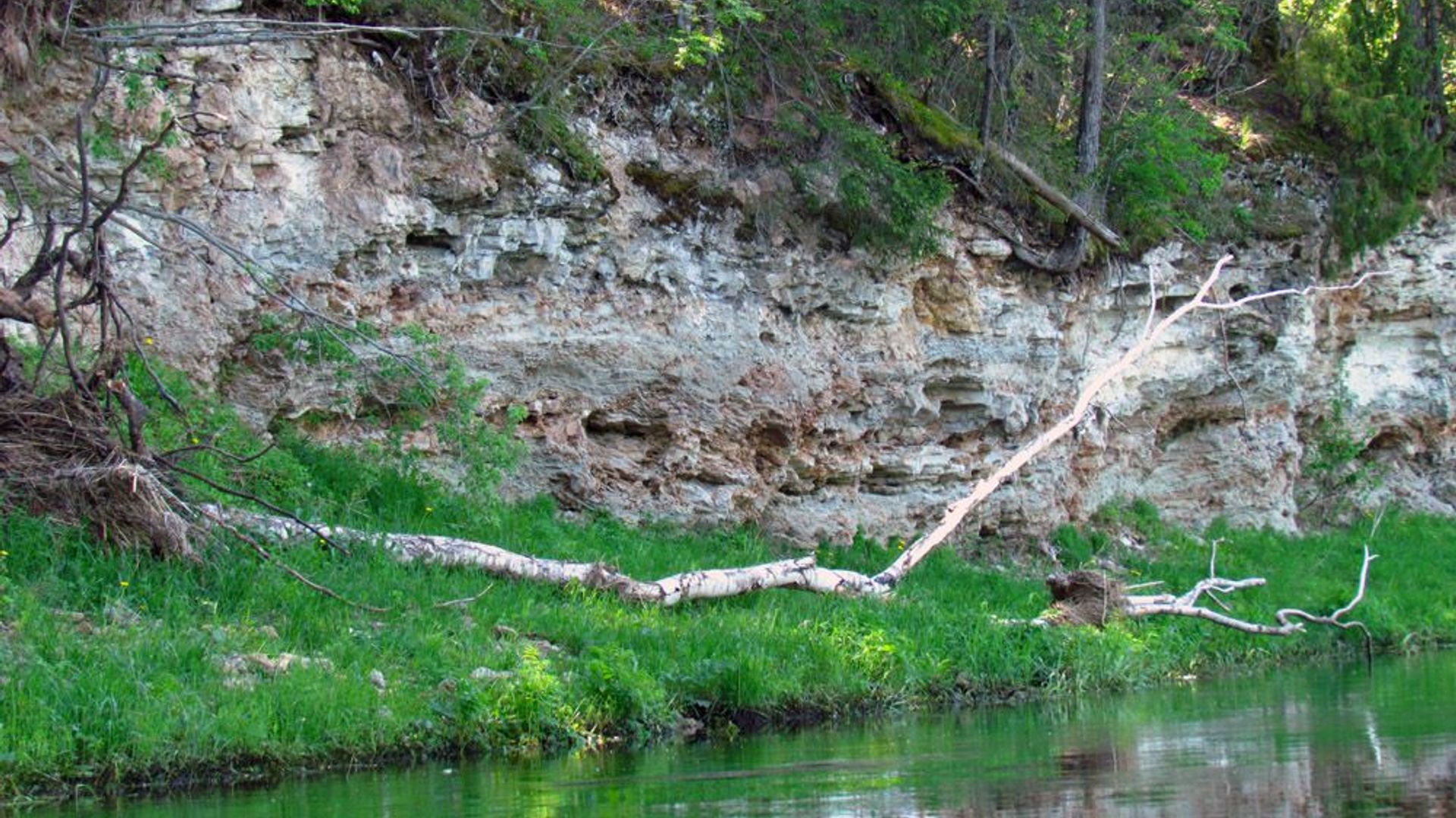 Muoriškių atodanga