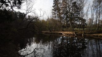 Mongoose Park Trail