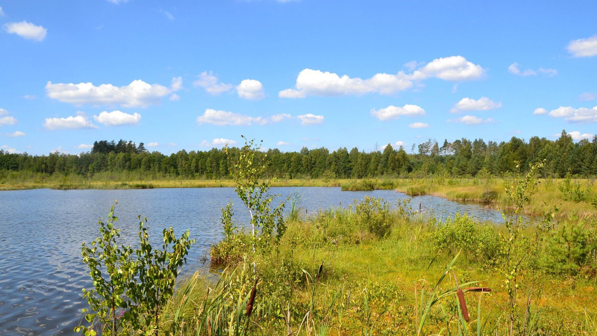 Bakanauskų ežeras