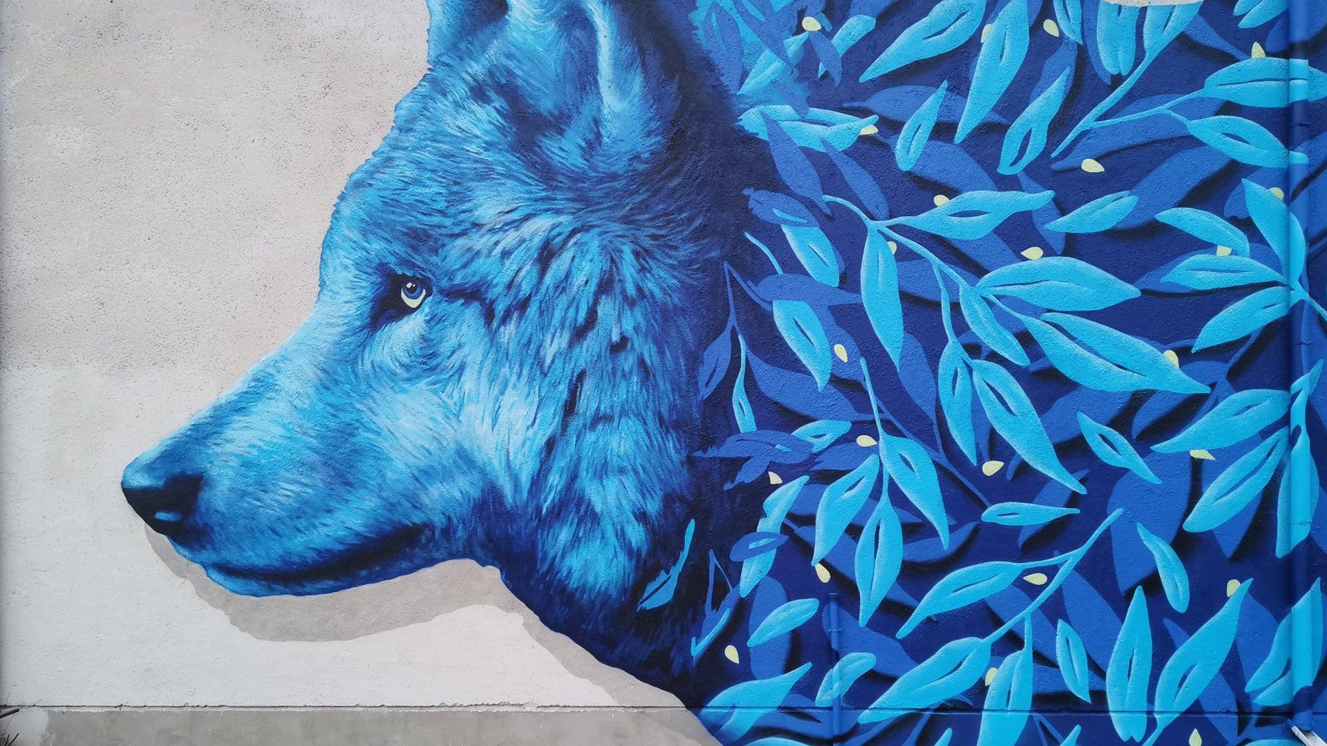 Mural Wolf