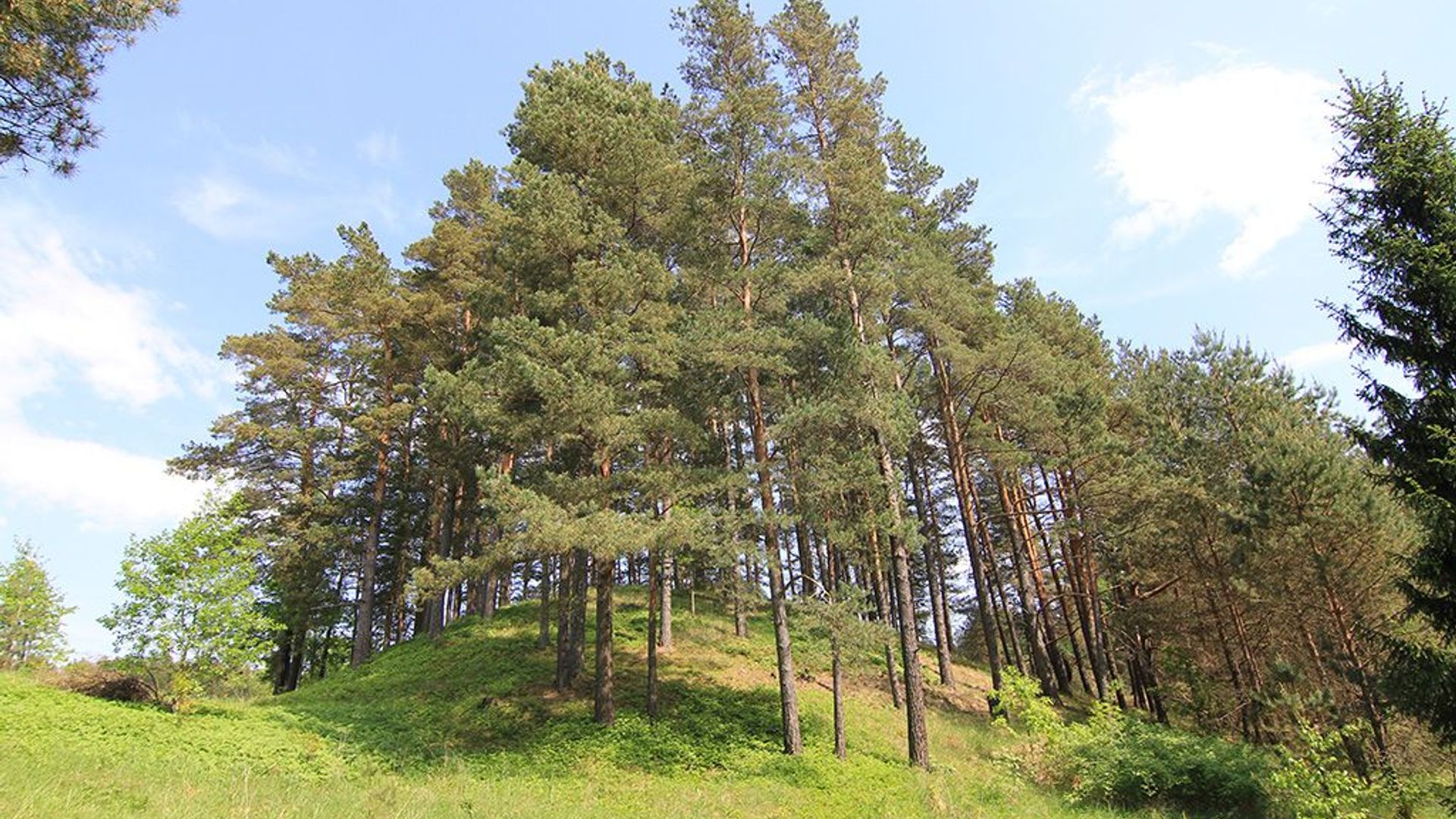 Aučynos Mound