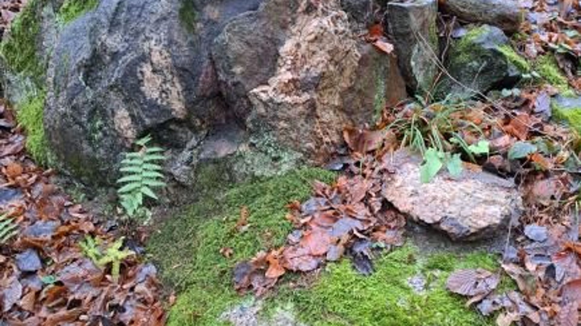 Ustronė Boulders