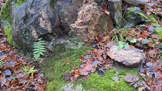 Ustronė Boulders