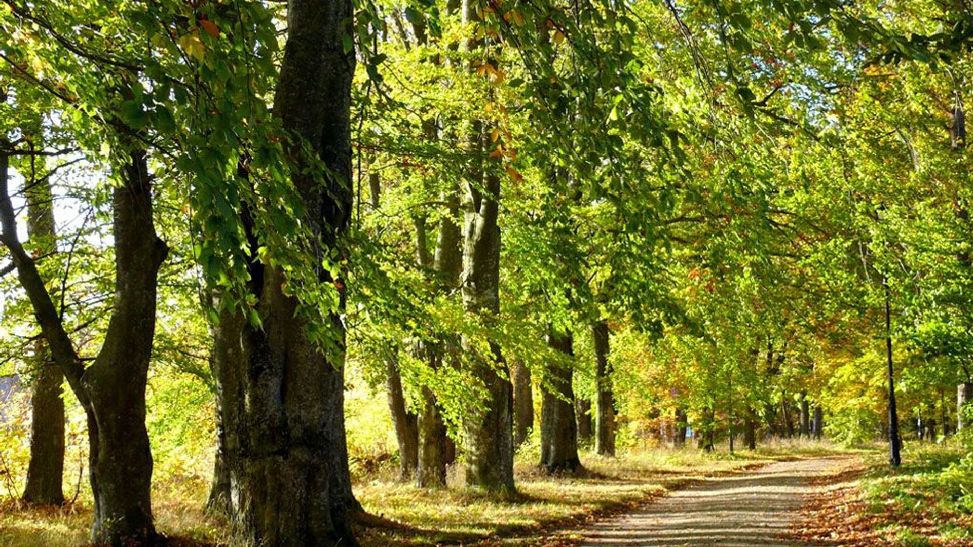 Žagarės dvaro parkas