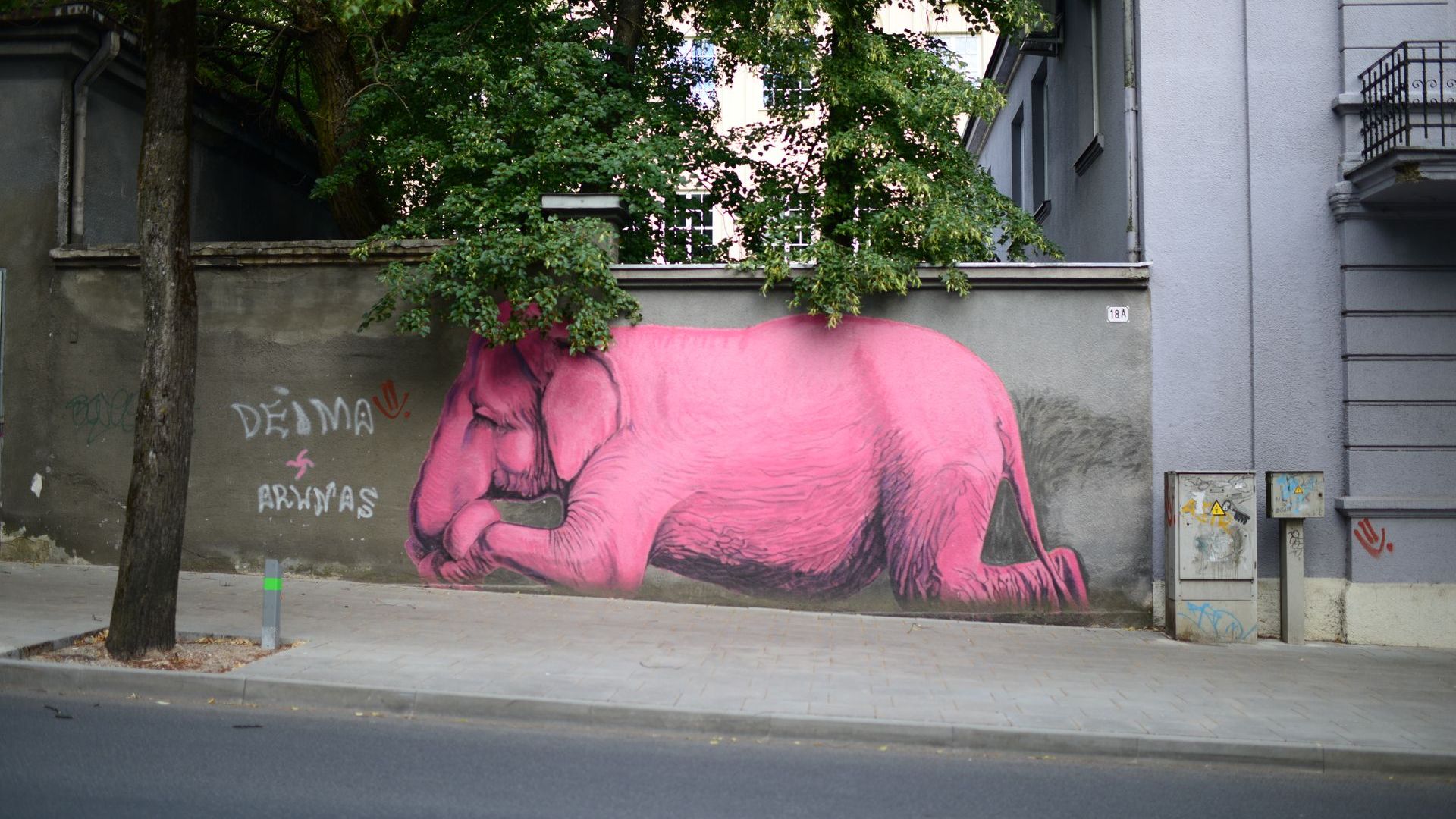 Piešinys Rožinis dramblys