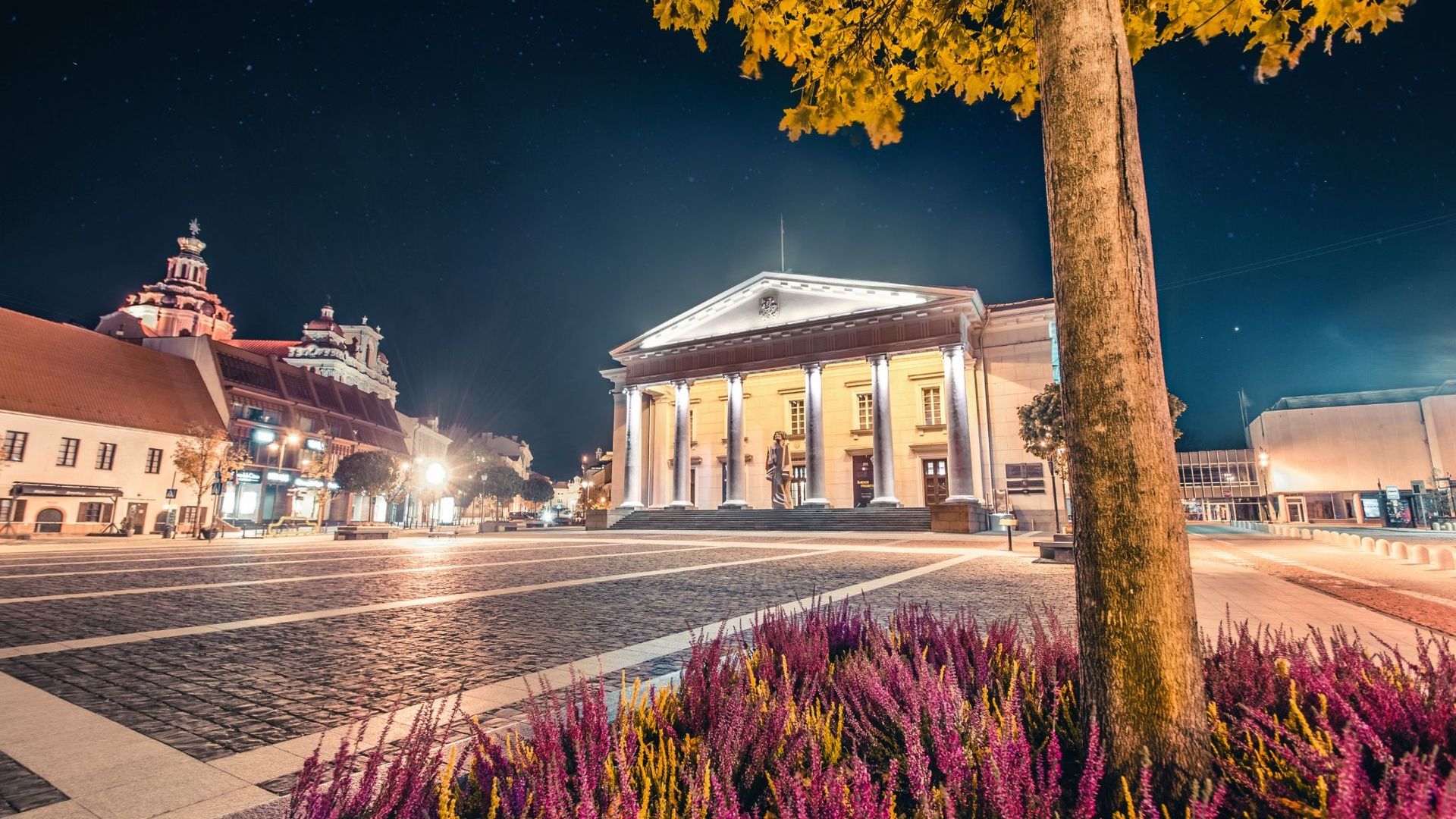 Vilnius City Hall