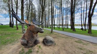 Moose Path