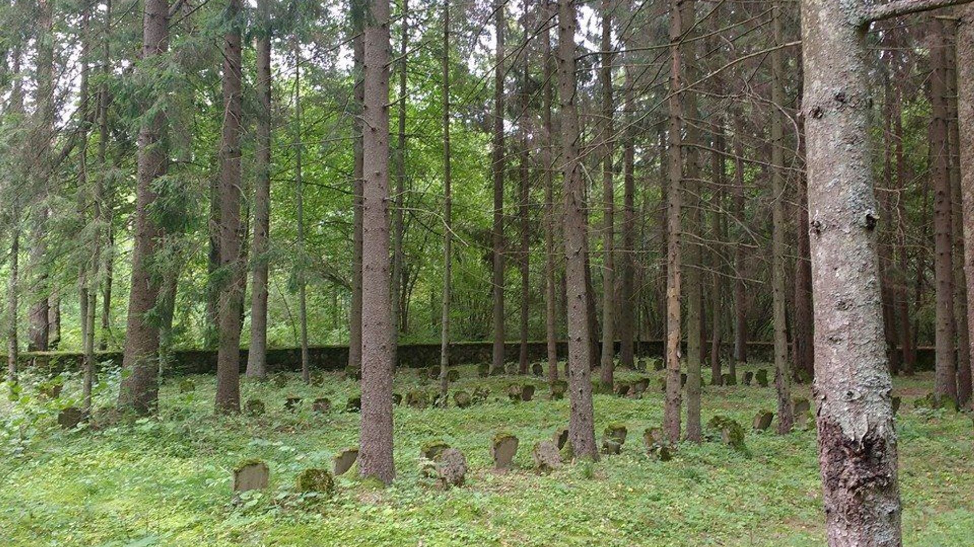 I-ojo pasaulinio karo Vokietijos ir Rusijos imperijų karių kapinės